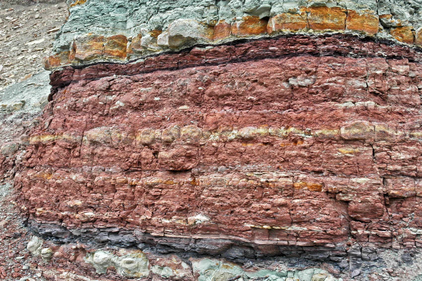 Uranium Colorado Geological Survey