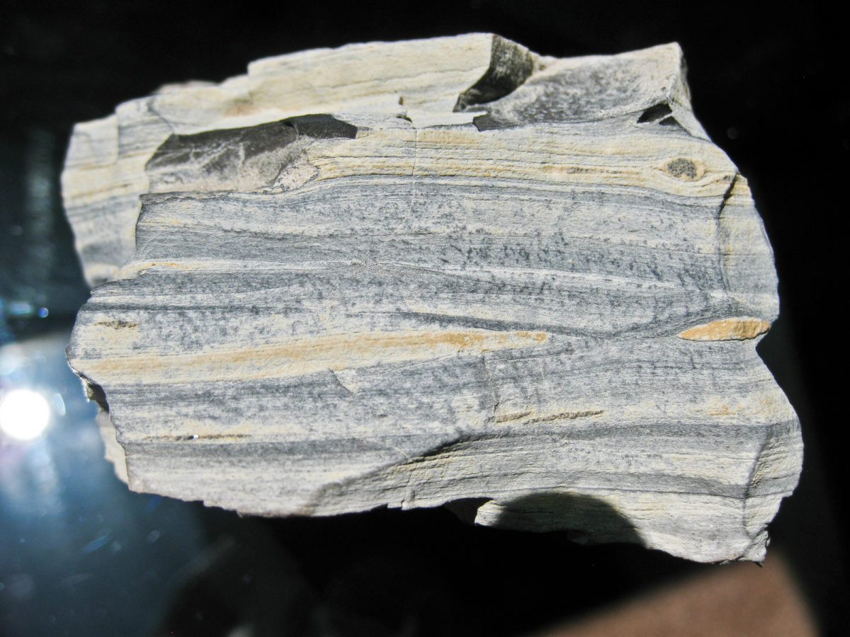 Typical sample of oil shale from the Uintah Basin, north-west Colorado. Photo credit: CGS.