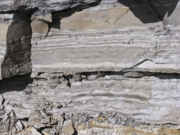 Detail of bedding above Sage Creek coal at the Seneca II-W mine in Routt County, Colorado, October 2005. Photo credit: Chris Carroll for the CGS.