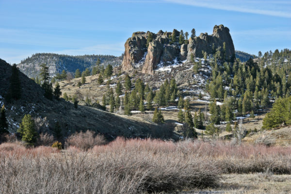“Castle” of Wall Mountain tuff, a 37-million-year-old ash flow. This flow traveled ninety miles from its source in the Sawatch Range to the vicinity of Castle Rock on the eastern plains. The outcrop shown is in Castle Rock Gulch, east of Buena Vista. Photo credit: Vince Matthews for the CGS.