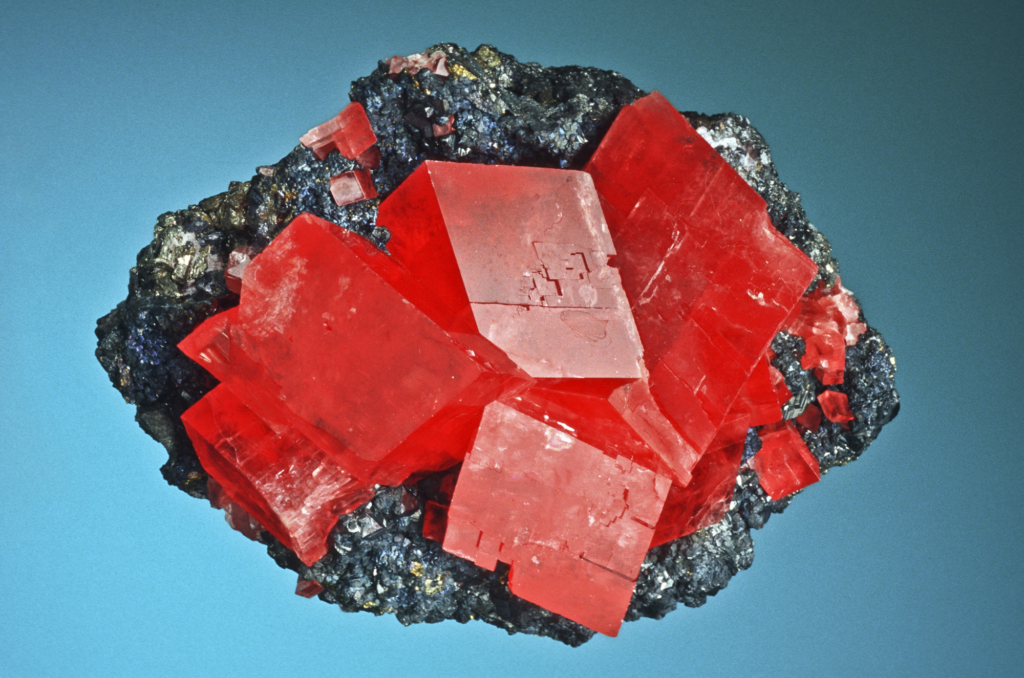 Rhodochrosite (red) on tetrahedrite (black) from the Sweet Home Mine, Alma, Park County, Colorado. Specimen provided by Dave Bunk. Photo credit: Jeff Scovil.