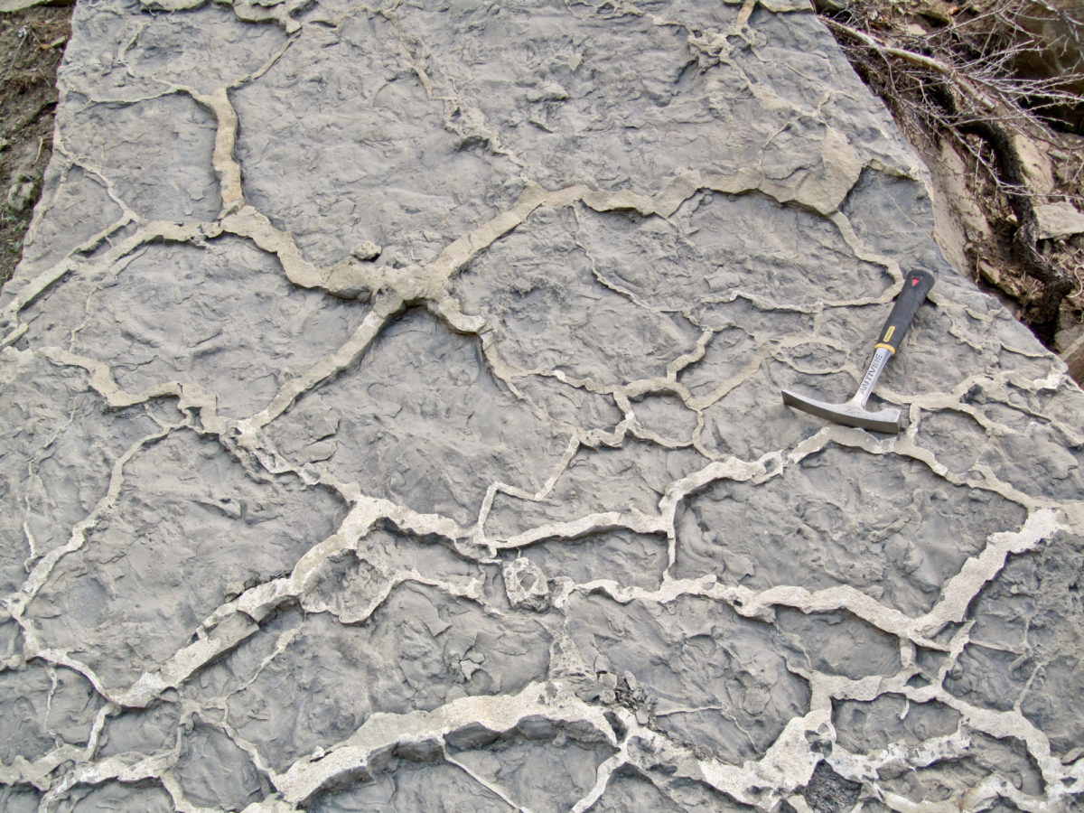 Semed Rocks Sedimentary Rocks - Colorado Geological Survey - Colorado Geological Survey