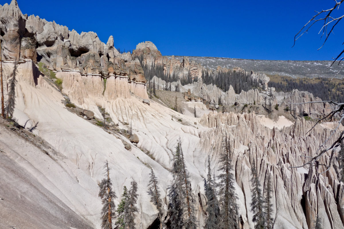 These tuffs in the Wheeler Geologic Area near Creede, Colorado show varying degrees of welding. The light slopes are not very welded and thus are highly erodible. The darker rocks are more densely welded and thus resist erosion, protecting the softer tuffs below. The tuffs erupted during the formation of the San Luis caldera. Photo credit: Vince Matthews for the CGS.