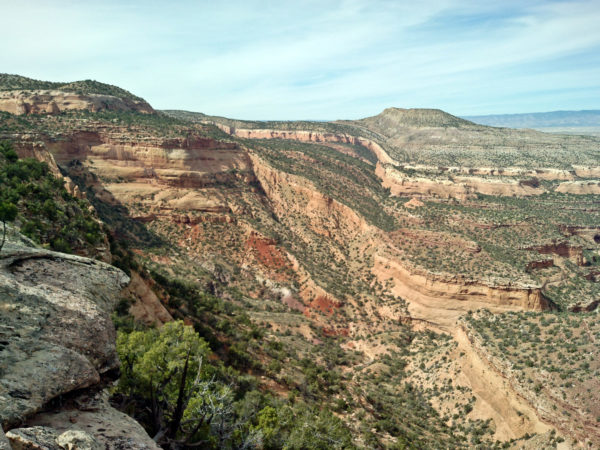 Well-exposed monocline on the northwest end of the Uncompahgre Plateau, Mesa County, Colorado, October 2014. Photo credit: Colorado Geological Survey.
