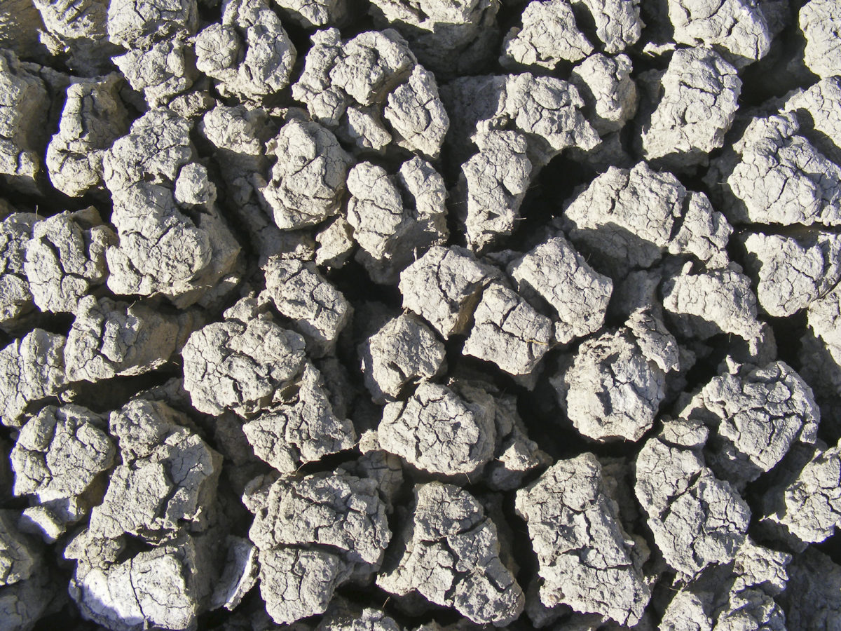 "Popcorn" soil on the Hotchkiss Quadrangle, Colorado, July 2012. Photo credit: David Noe for the CGS