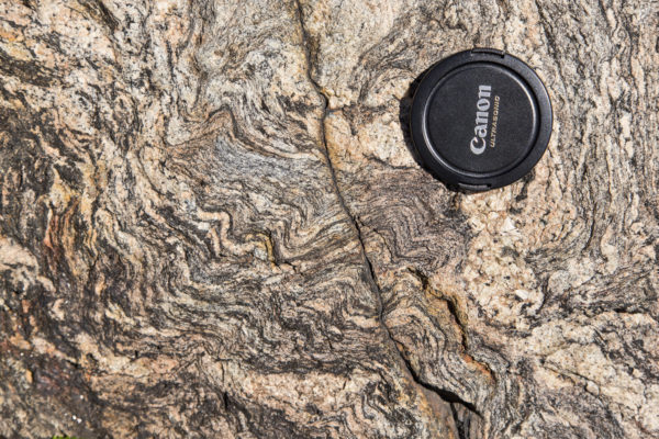 Close up of a metamorphic gneiss near Nederland, Colorado, 2018. Photo credit: Michael O'Keeffe for the CGS.
