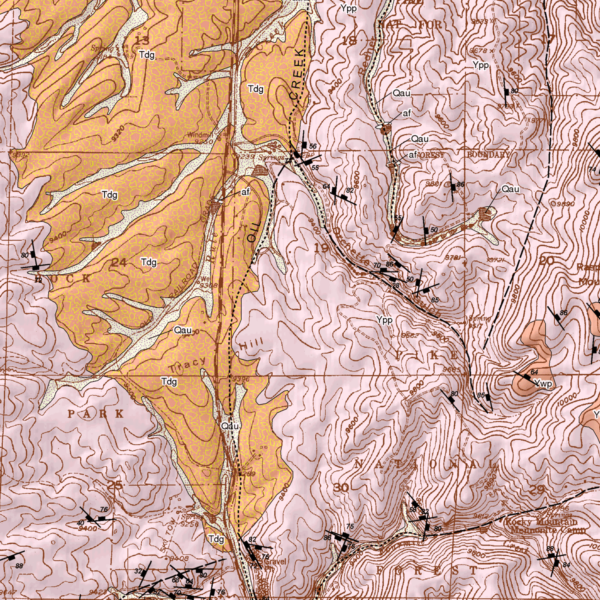 OF-09-02 Geologic Map of the Divide Quadrangle, Teller County, Colorado (detail)