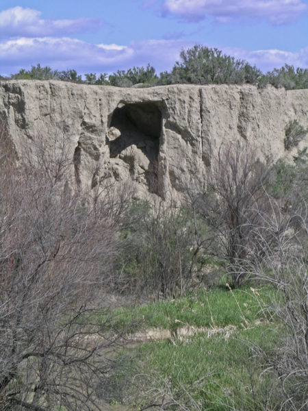 Piping cave/soil arch in Qamf deposit, Loutzenhizer Arroyo, Delta County, Colorado, April 2007. Photo credit: David Noe for the CGS.