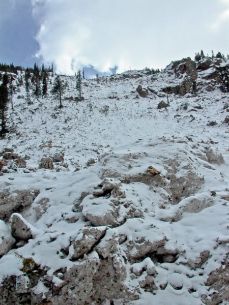 Looking up the avalanche chute a few days after the avalanche event, Silver Plume, Colorado. Photo credit: Colorado Geological Survey.