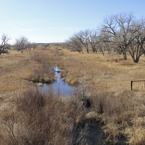 The Arikaree River at Beecher Island in Yuma County, Colorado, February 2017. The groundwater level is indicated by the pooling of water in the bed of the otherwise dry river channel. Water will fill low spots in the channel that are deep enough to reach the water table. Photo credit: Jeffrey Beall, Wikimedia Commons https://commons.wikimedia.org/.