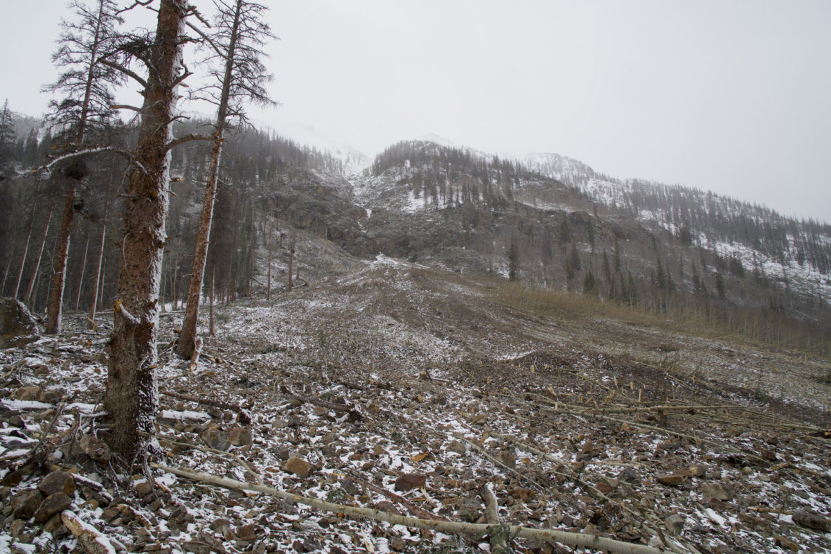 Another avalanche chute - note the height of avalanche damage to the few remaining trees, Henson Creek in Hinsdale County, Colorado, April 2019. Photo credit: Jon Lovekin for the CGS.