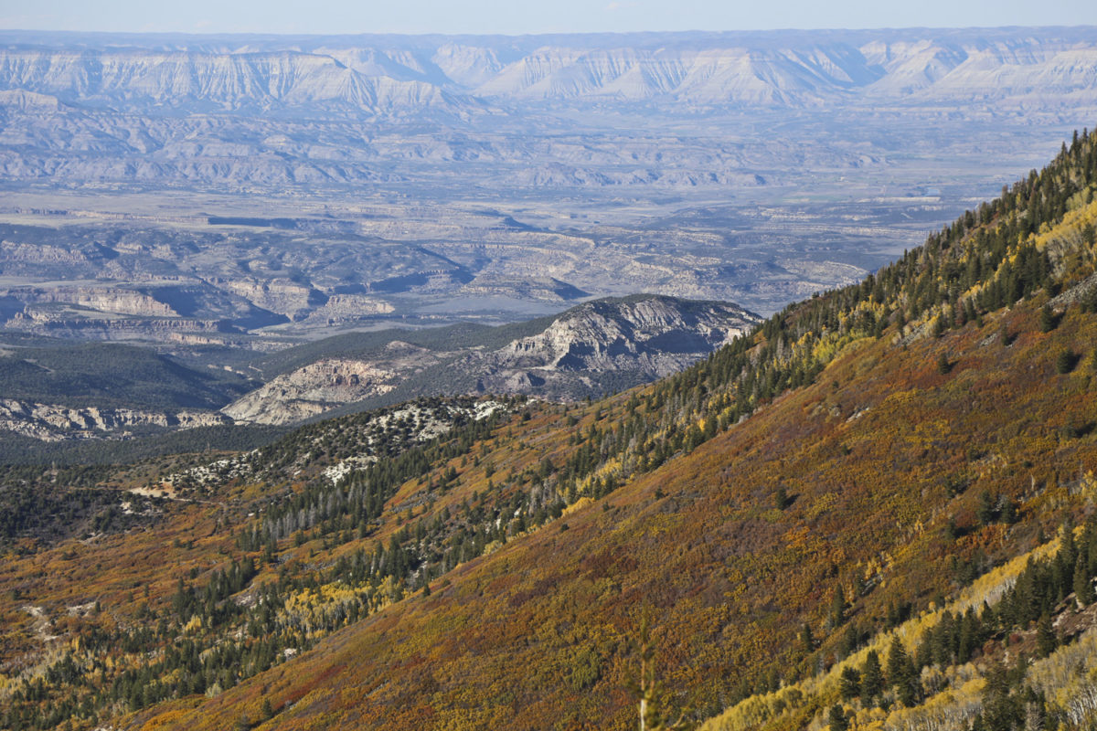 Looking north from Grand Mesa towards the high Roan Cliffs. That same package of rocks also occurs in the steep slopes in the foreground, immediately below the basalt rim. Between the two is the Colorado River that cuts into older Mesaverde Group rocks and is out of sight, set deep in Debeque Canyon, Colorado, October 2017. Photo credit: Jonathan White for the CGS.