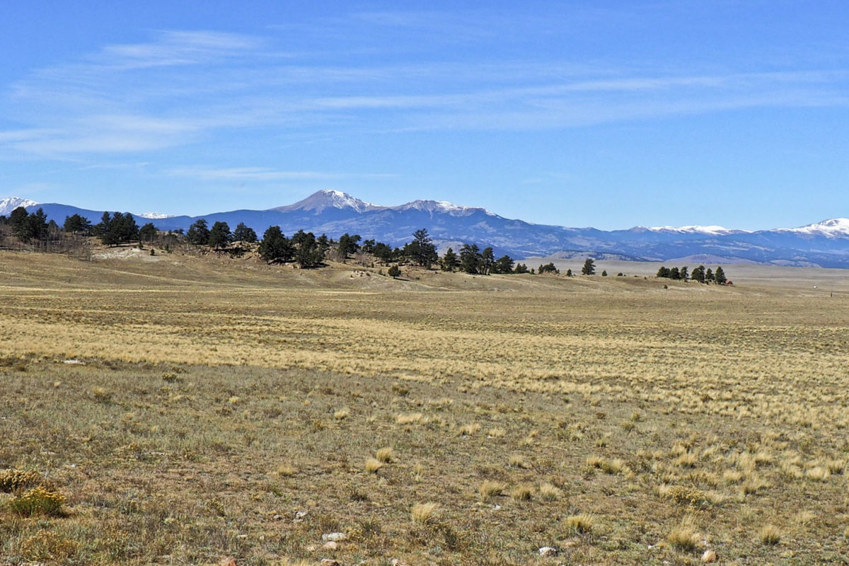Looking northwest across South Park towards Buffalo Peaks Wilderness from the Antero Reservoir Northeast quadrangle, Colorado, October 2017. Photo credit: Peter Barkmann for the CGS.