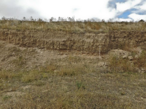 Excavated face in an inactive gravel pit in Cache la Poudre River valley north of Greeley. A channel of overlying, finer-grained, darker-colored alluvium 2 (between 2-4 Ka) was eroded and then filled in the underlying, coarser-grained, lighter-colored deposits of alluvium 3. The lowest part of the alluvium 2 channel is at the white folding rule. Photo credit: Stephen Keller for the CGS.