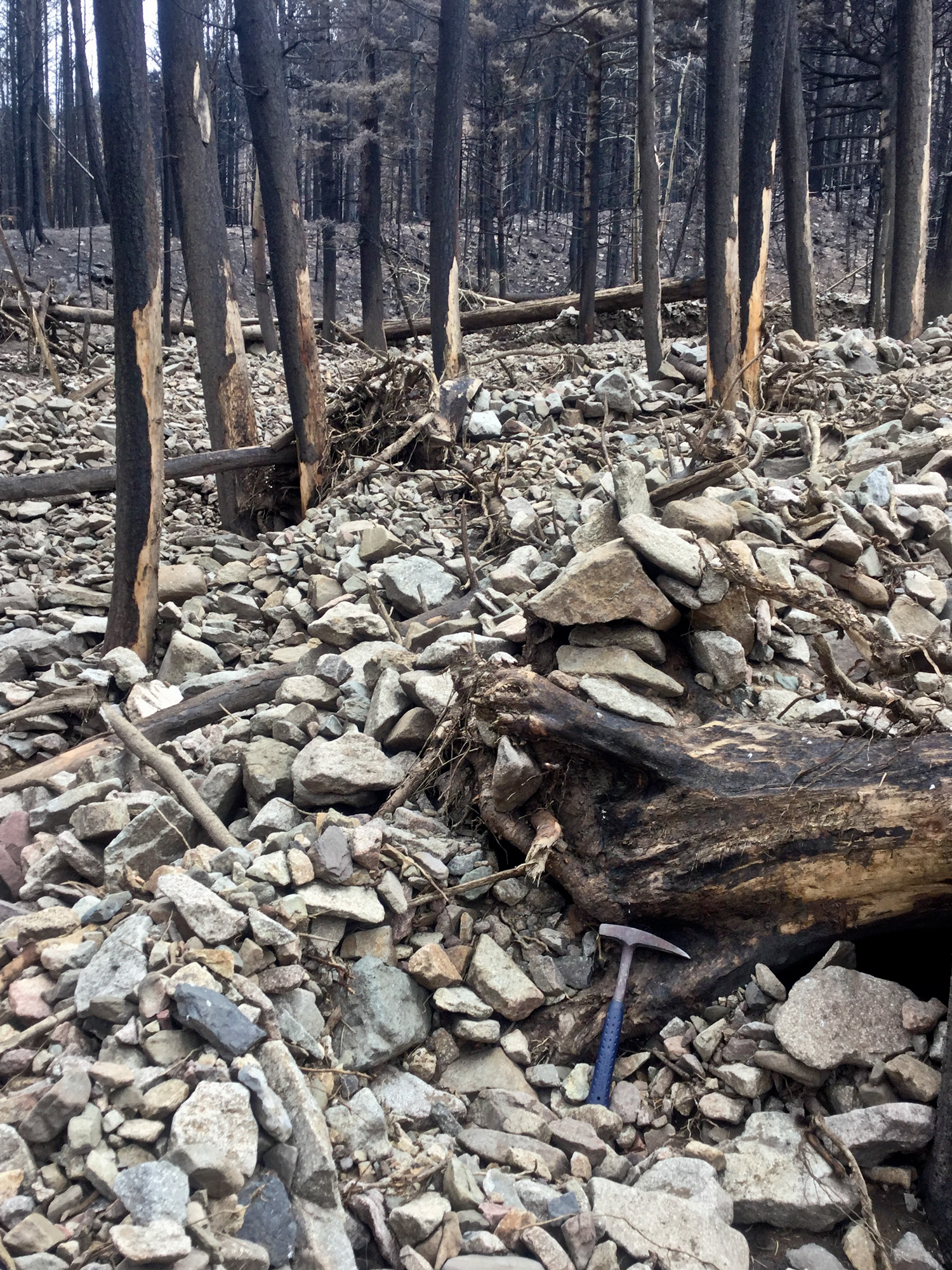 Post-wildfire debris flow deposited in burn area below a steep mountain grade, Paradise Acres, Huerfano County, Colorado, 2018. Photo credit: Kevin McCoy for the CGS.