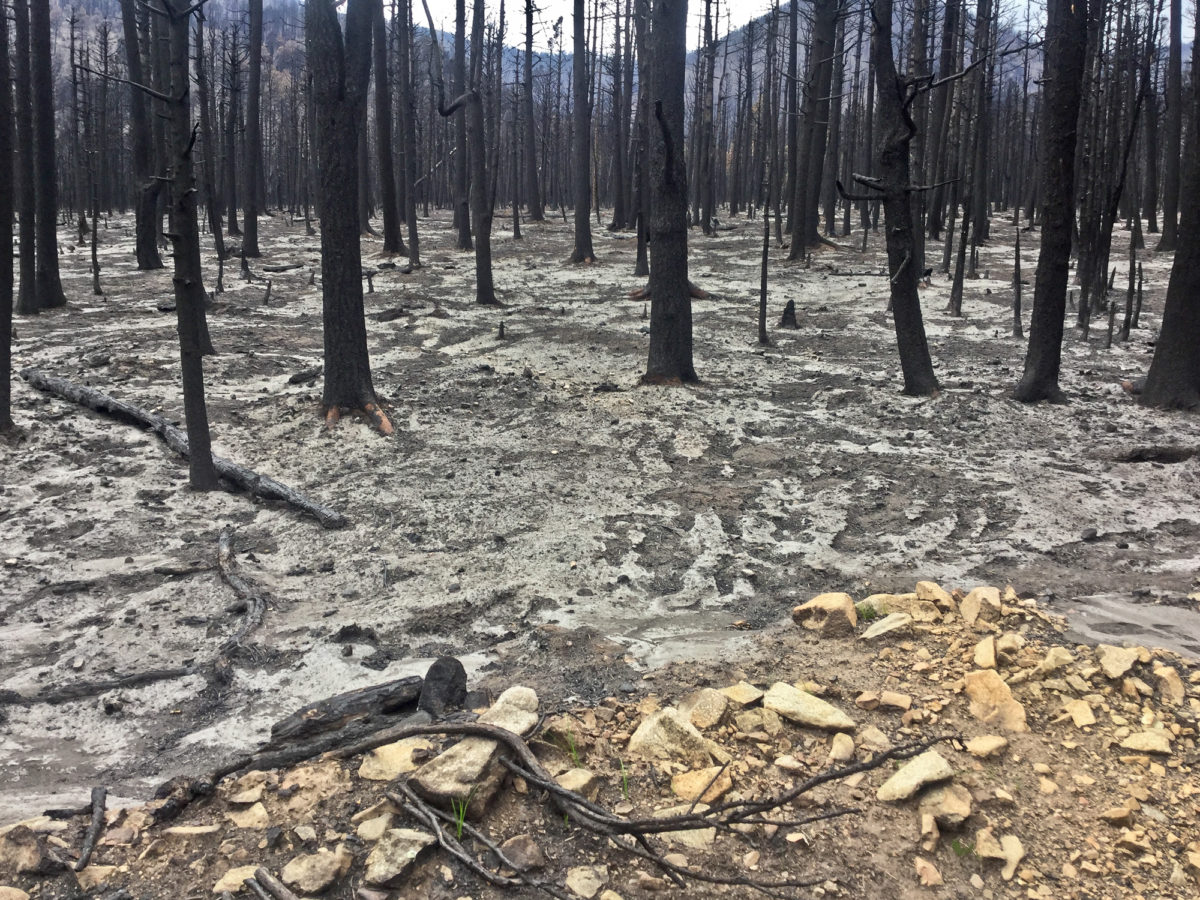 Burned area ripe for a mud flow, given some precipitation, Paradise Acres, Huerfano County, Colorado, August 2018. Photo credit: Kevin McCoy for the CGS.