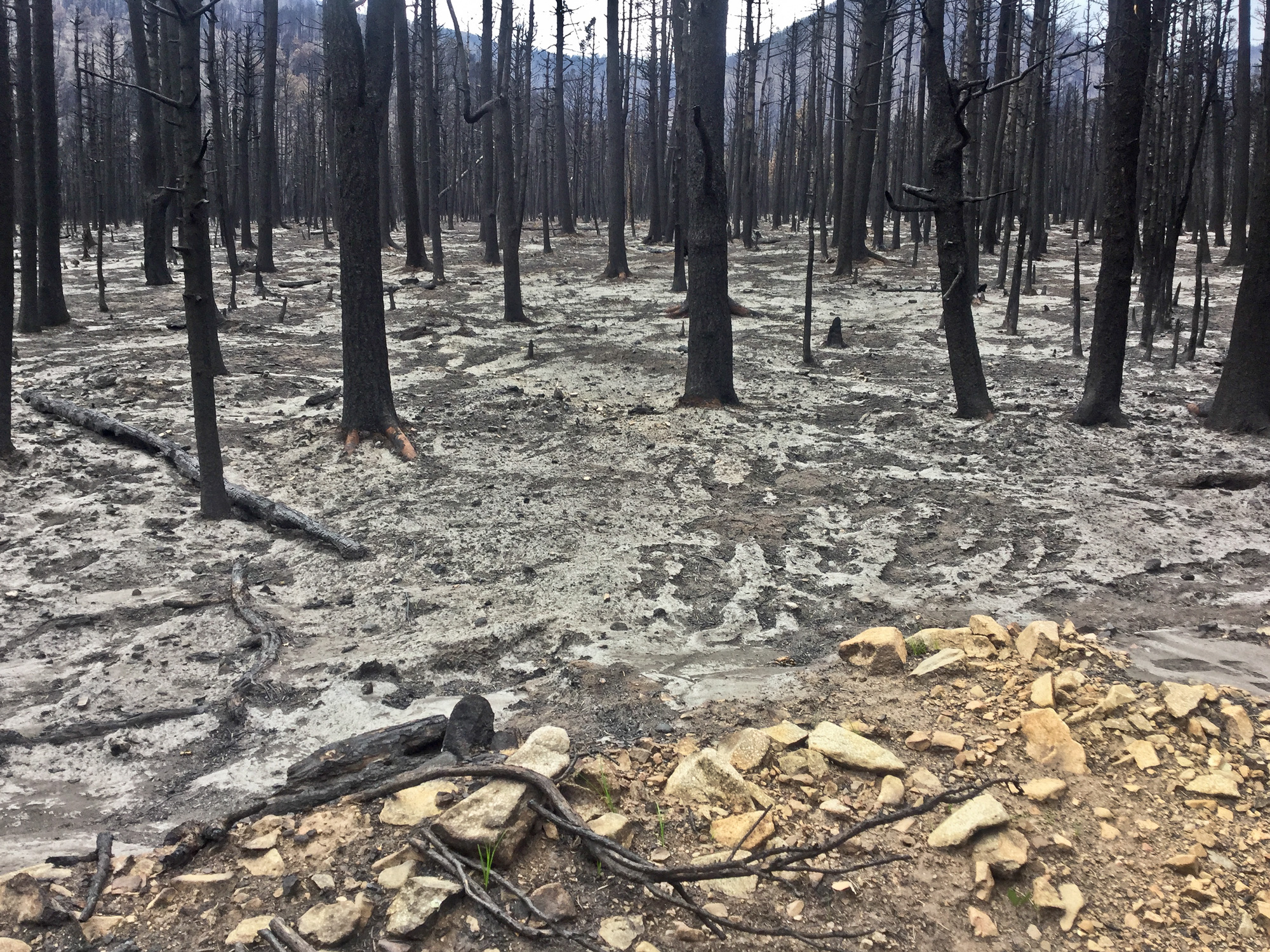 Burned area ripe for a mud flow, given some precipitation, Paradise Acres, Huerfano County, Colorado, August 2018. Photo credit: Kevin McCoy for the CGS.