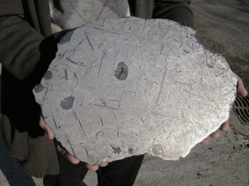 A 3610 g slice of the Bear Creek meteorite being held for scale that was formerly in the Jurgen Nauber Meteorite Collection (JNMC) in Zurich, Switzerland. Photo credit: Peter Marmet.