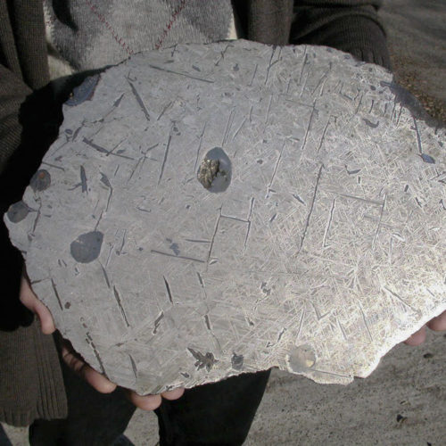 A 3610 g slice of the Bear Creek meteorite being held for scale that was formerly in the Jurgen Nauber Meteorite Collection (JNMC) in Zurich, Switzerland. Photo credit: Peter Marmet.