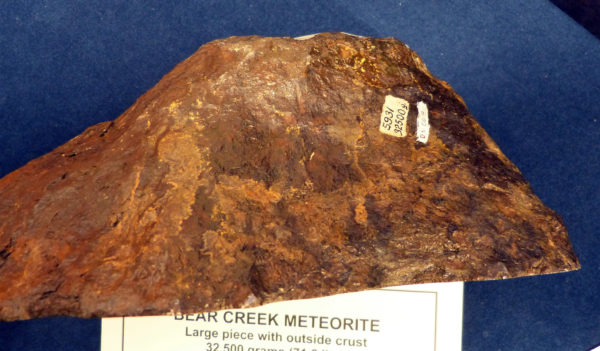 The exterior oxidized crust of the fragment of the Bear Creek meteorite from the collection of the Denver Museum of Nature and Science (#5931). Photo credit: DMNS.