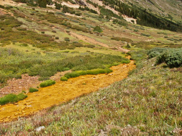 Fresh orange (iron) precipitate coating the streambed in Peekaboo Gulch downstream from natural (acidic, metal-rich) springs. Photo credit: T.C. Wait for the CGS.
