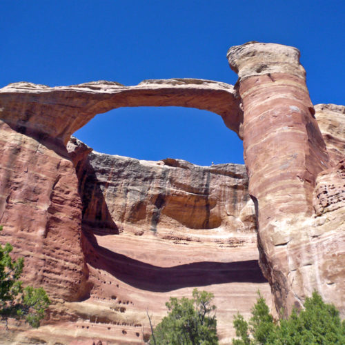 Centennial Arch in Rattlesnake Canyon, Mesa County, along the Colorado-Utah border, spans 40 ft (12 m) along the canyon wall of Entrada Sandstone, remnants of a vast dunefield that has been preserved in stone since the Jurassic. Photo credit: Matt Morgan.