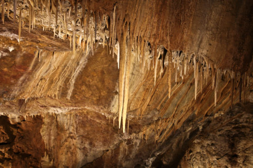 Limestone speleothems (var. stalactite) hang from the ceiling of Glenwood Caverns, Glenwood Springs, Colorado. Photo credit: Vince Matthews for the CGS.