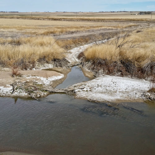 Along the Arkansas River in Prowers County, at an irrigation ditch. The white precipitate is evaporitic salt deposits. Photo credit: Lesley Sebol for the CGS.