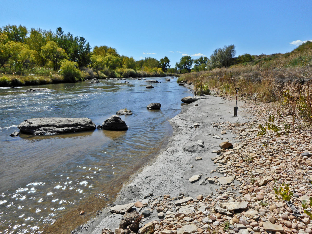 Pierre Shale (gray) exposed along St. Vrain Creek in Weld County, Colorado. Photo credit: Stephen Keller for the CGS.